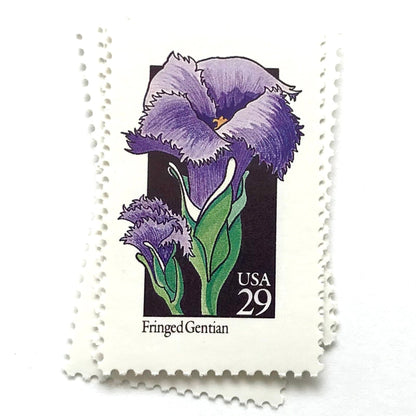 Image of 1992 American Wildflower Series “Fringed Gentian” vintage USPS mail stamps. Scott #2672. Stamp Themes: Plants, Flowers, Wildflowers, Flora. Purple, Green, Black, Multicolored gummed postage stamp. Perfect postage stamp to use for save the date announcements, wedding invitation postage, bridal shower invitations, birth announcements, valentine’s day, thank you cards, and snail mail.