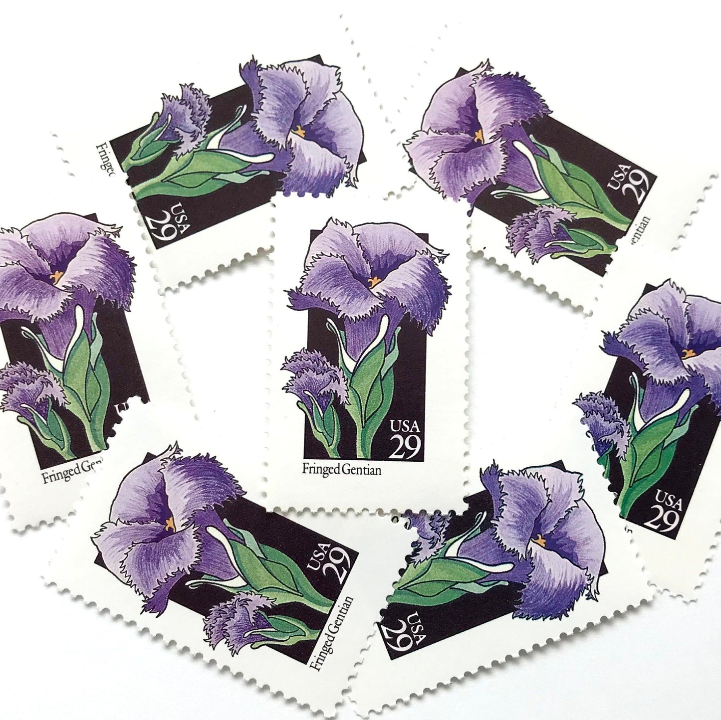 Image of 1992 American Wildflower Series “Fringed Gentian” vintage USPS mail stamps. Scott #2672. Stamp Themes: Plants, Flowers, Wildflowers, Flora. Purple, Green, Black, Multicolored gummed postage stamp. Perfect postage stamp to use for save the date announcements, wedding invitation postage, bridal shower invitations, birth announcements, valentine’s day, thank you cards, and snail mail.