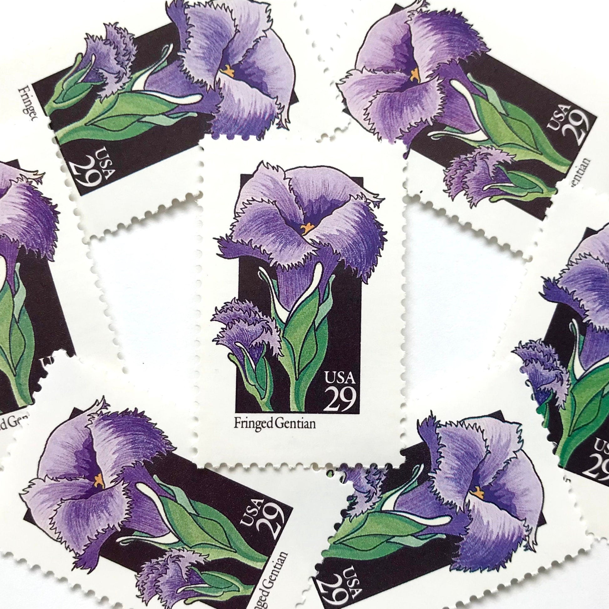 Image of 1992 American Wildflower Series “Fringed Gentian” vintage USPS mail stamps. Scott #2672. Stamp Themes: Plants, Flowers, Wildflowers, Flora. Purple, Green, Black, Multicolored gummed postage stamp. Perfect postage stamp to use for save the date announcements, wedding invitation postage, bridal shower invitations, birth announcements, valentine’s day, thank you cards, and snail mail.