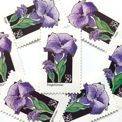 Image of 1992 American Wildflower Series “Fringed Gentian” vintage USPS mail stamps. Scott #2672. Stamp Themes: Plants, Flowers, Wildflowers, Flora. Purple, Green, Black, Multicolored gummed postage stamp. Perfect postage stamp to use for save the date announcements, wedding invitation postage, bridal shower invitations, birth announcements, valentine’s day, thank you cards, and snail mail.