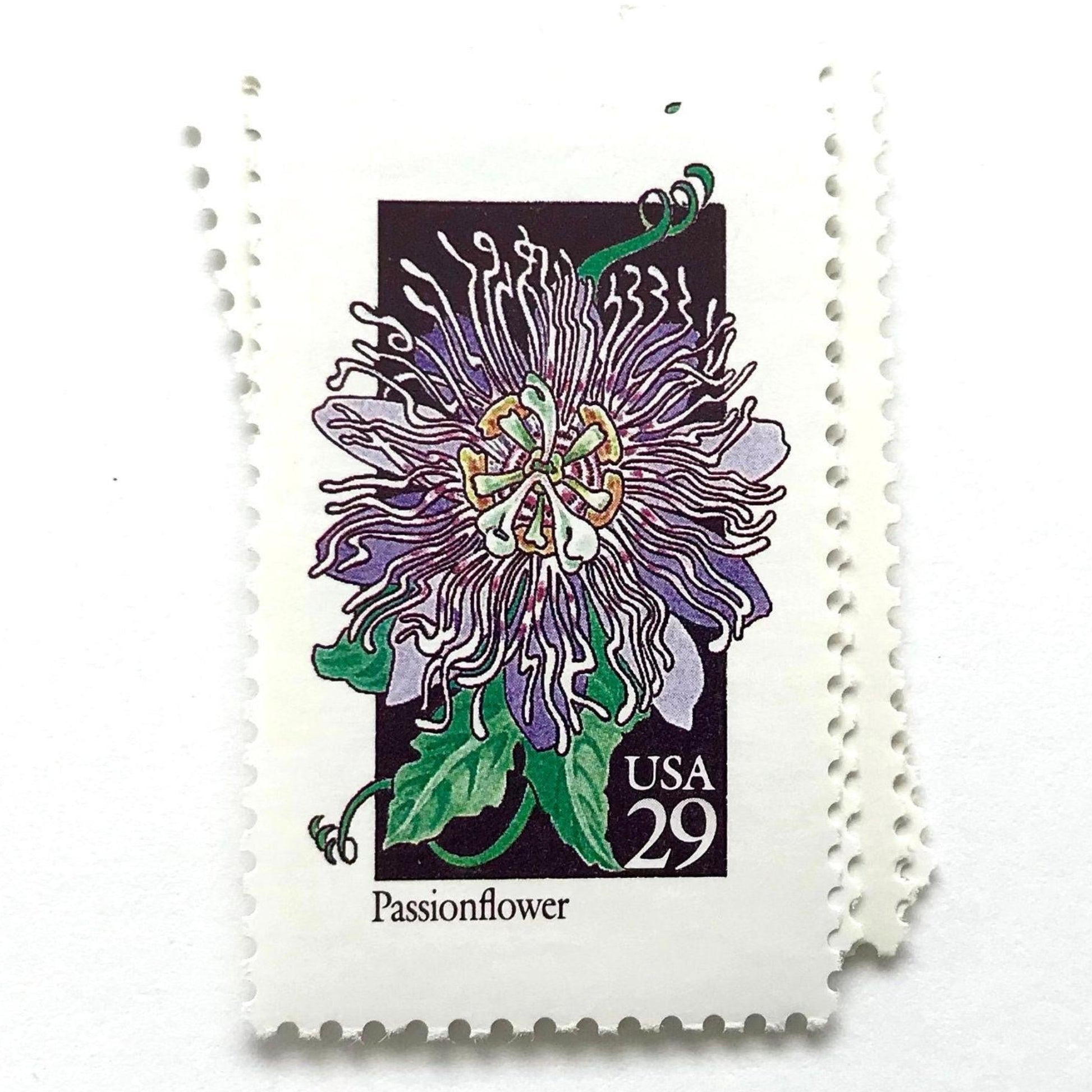 Image of 1992 American Wildflower Series “Passionflower” vintage USPS mail stamps. Scott #2674. Stamp Themes: Plants, Flowers, Wildflowers, Flora. Purple, Green, Black, Multicolored gummed postage stamp. Perfect postage stamp to use for save the date announcements, wedding invitation postage, bridal shower invitations, birth announcements, valentine’s day, thank you cards, and snail mail.
