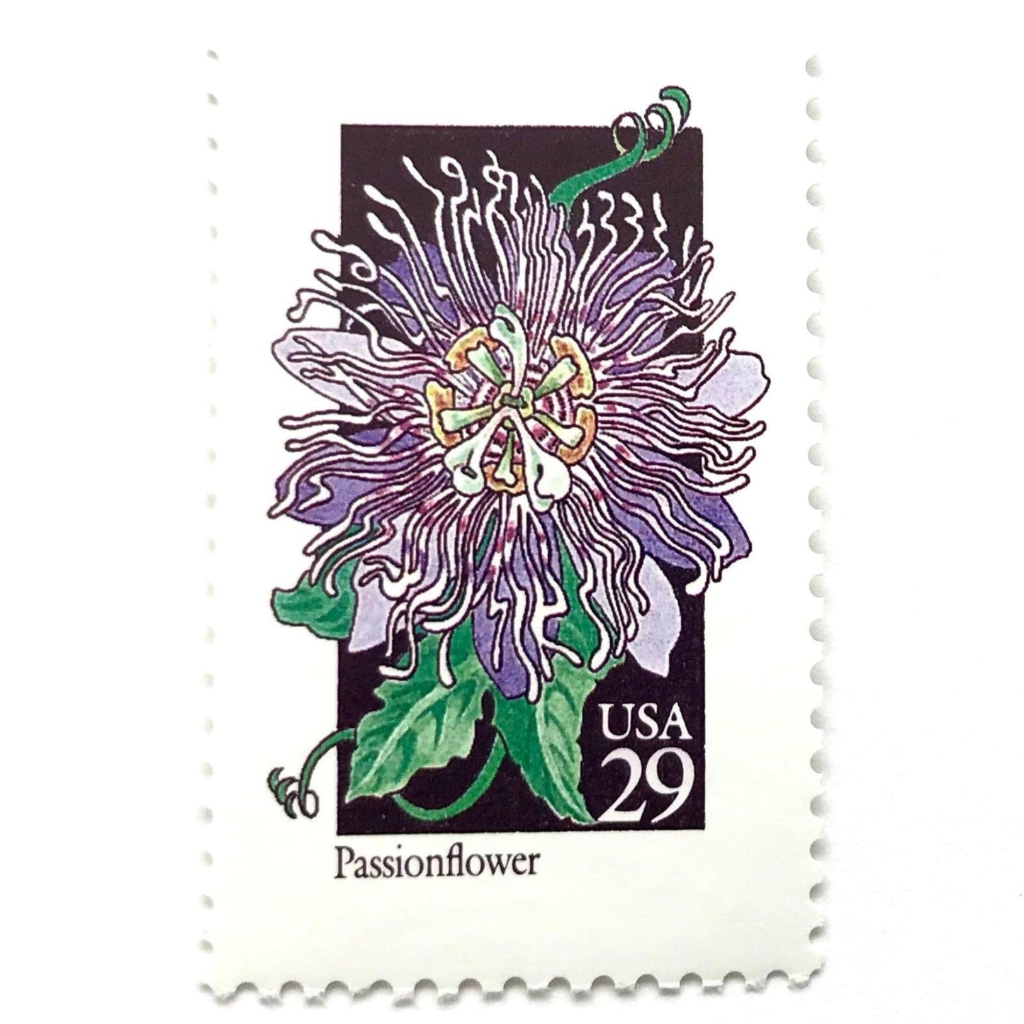 Image of 1992 American Wildflower Series “Passionflower” vintage USPS mail stamps. Scott #2674. Stamp Themes: Plants, Flowers, Wildflowers, Flora. Purple, Green, Black, Multicolored gummed postage stamp. Perfect postage stamp to use for save the date announcements, wedding invitation postage, bridal shower invitations, birth announcements, valentine’s day, thank you cards, and snail mail.