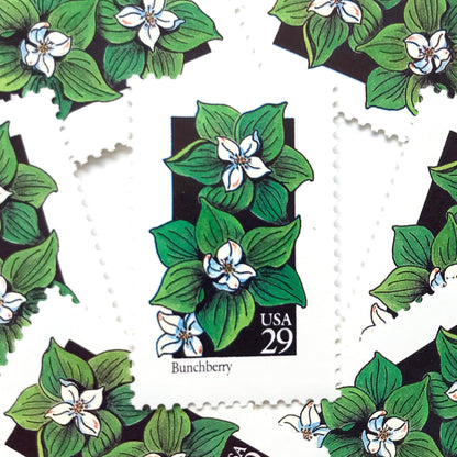 Image of 1992 American Wildflower Series “Bunchberry” vintage USPS mail stamps. Scott #2675. Stamp Themes: Plants, Flowers, Wildflowers, Flora. White, Green, Black, Multicolored gummed postage stamp. Perfect postage stamp to use for save the date announcements, wedding invitation postage, bridal shower invitations, birth announcements, valentine’s day, thank you cards, and snail mail.