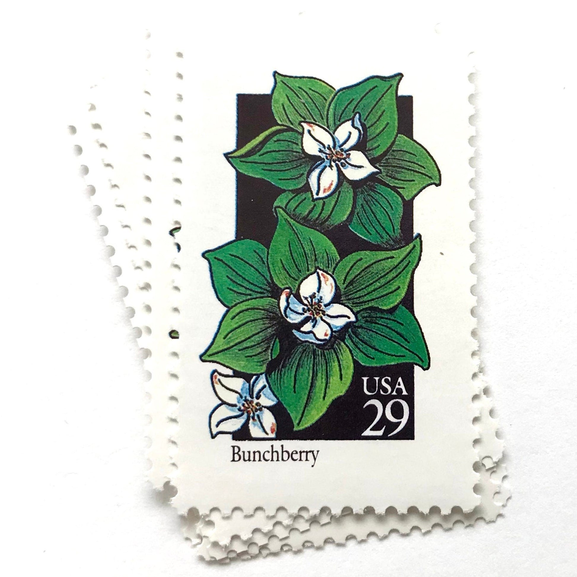 Image of 1992 American Wildflower Series “Bunchberry” vintage USPS mail stamps. Scott #2675. Stamp Themes: Plants, Flowers, Wildflowers, Flora. White, Green, Black, Multicolored gummed postage stamp. Perfect postage stamp to use for save the date announcements, wedding invitation postage, bridal shower invitations, birth announcements, valentine’s day, thank you cards, and snail mail.