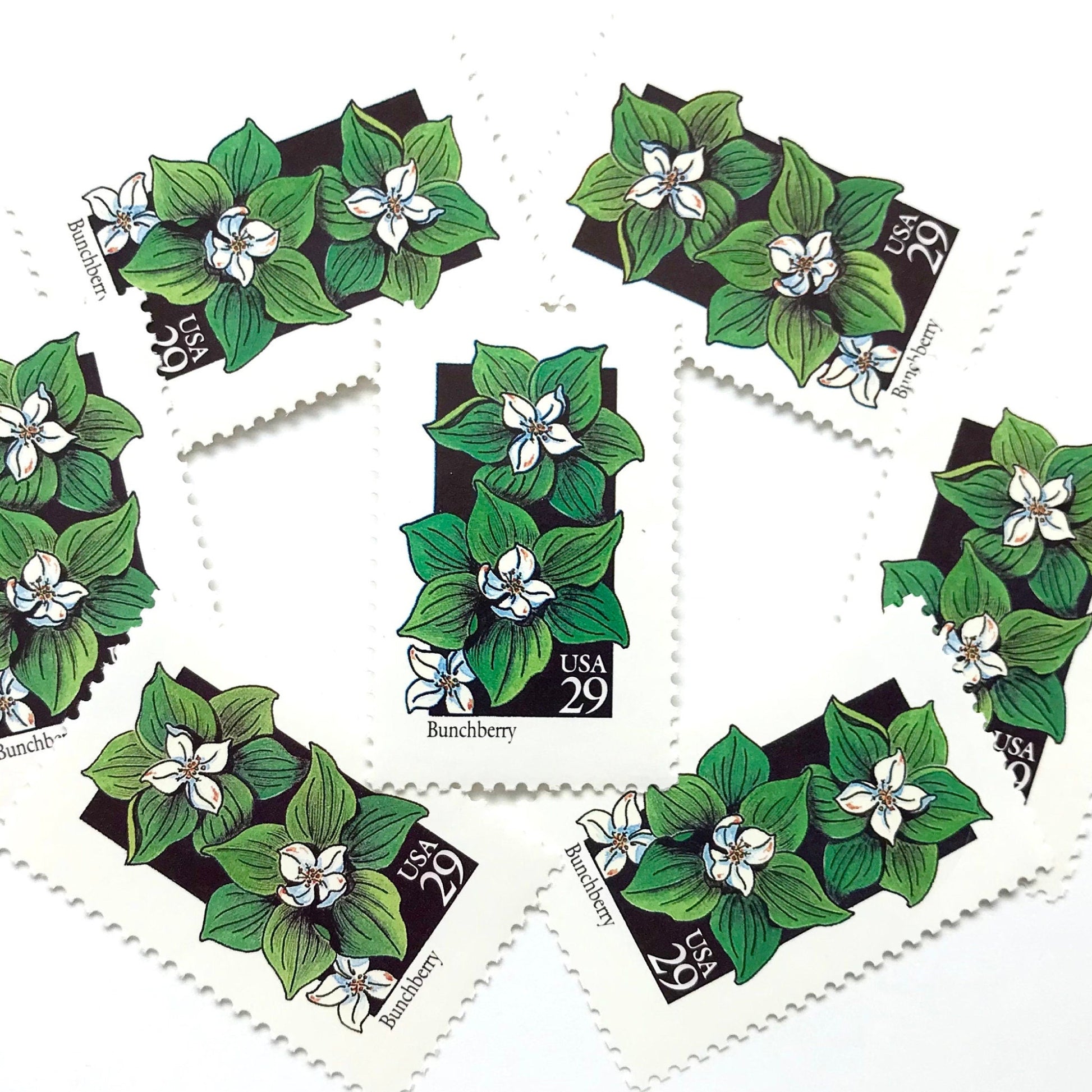 Image of 1992 American Wildflower Series “Bunchberry” vintage USPS mail stamps. Scott #2675. Stamp Themes: Plants, Flowers, Wildflowers, Flora. White, Green, Black, Multicolored gummed postage stamp. Perfect postage stamp to use for save the date announcements, wedding invitation postage, bridal shower invitations, birth announcements, valentine’s day, thank you cards, and snail mail.