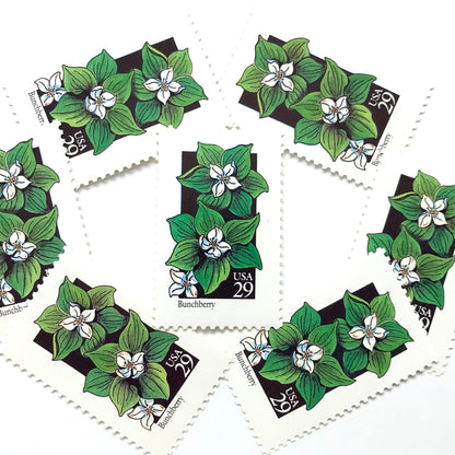Image of 1992 American Wildflower Series “Bunchberry” vintage USPS mail stamps. Scott #2675. Stamp Themes: Plants, Flowers, Wildflowers, Flora. White, Green, Black, Multicolored gummed postage stamp. Perfect postage stamp to use for save the date announcements, wedding invitation postage, bridal shower invitations, birth announcements, valentine’s day, thank you cards, and snail mail.