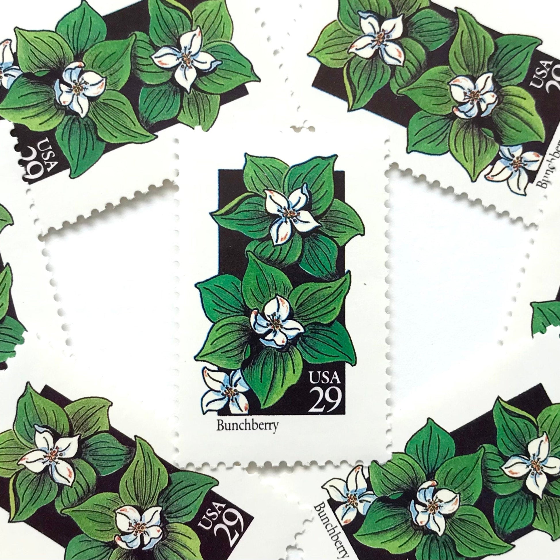 Image of 1992 American Wildflower Series “Bunchberry” vintage USPS mail stamps. Scott #2675. Stamp Themes: Plants, Flowers, Wildflowers, Flora. White, Green, Black, Multicolored gummed postage stamp. Perfect postage stamp to use for save the date announcements, wedding invitation postage, bridal shower invitations, birth announcements, valentine’s day, thank you cards, and snail mail.
