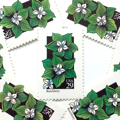 Image of 1992 American Wildflower Series “Bunchberry” vintage USPS mail stamps. Scott #2675. Stamp Themes: Plants, Flowers, Wildflowers, Flora. White, Green, Black, Multicolored gummed postage stamp. Perfect postage stamp to use for save the date announcements, wedding invitation postage, bridal shower invitations, birth announcements, valentine’s day, thank you cards, and snail mail.
