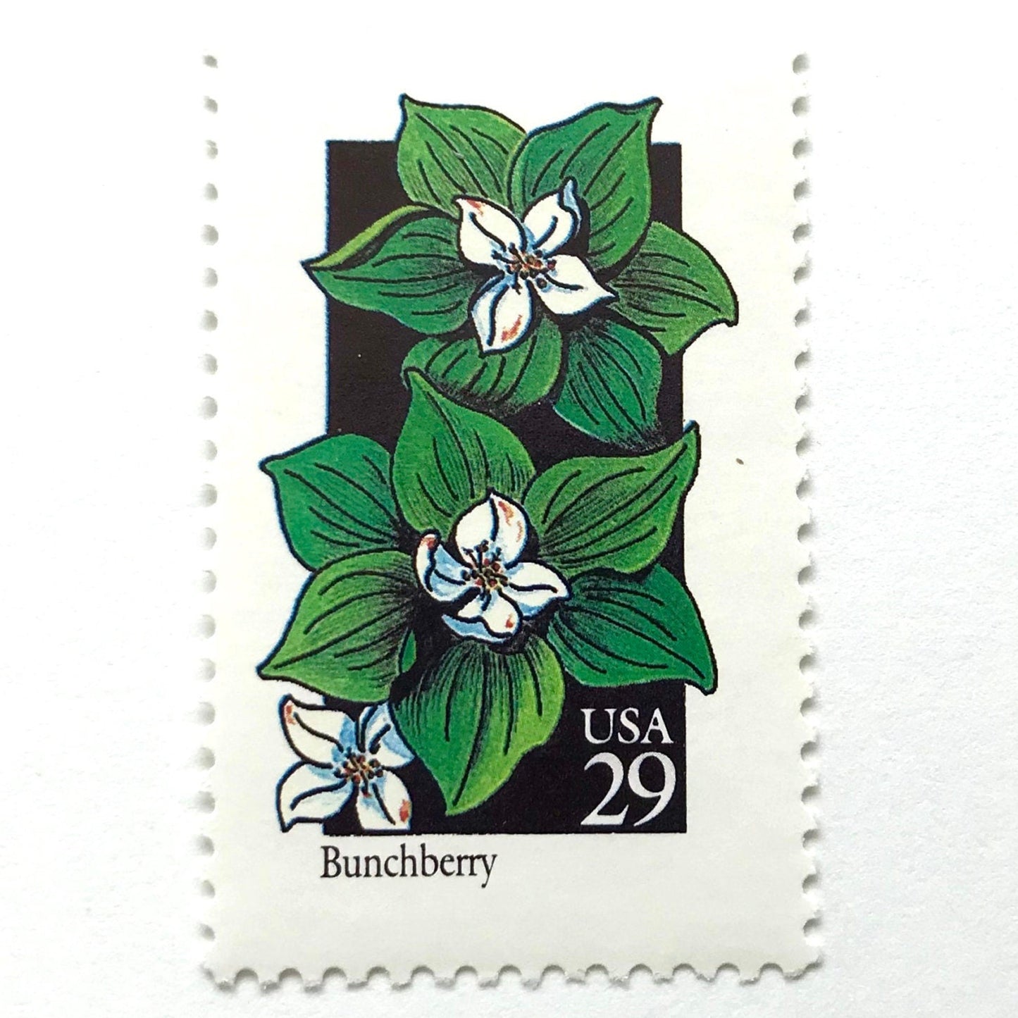 Image of 1992 American Wildflower Series “Bunchberry” vintage USPS mail stamps. Scott #2675. Stamp Themes: Plants, Flowers, Wildflowers, Flora. White, Green, Black, Multicolored gummed postage stamp. Perfect postage stamp to use for save the date announcements, wedding invitation postage, bridal shower invitations, birth announcements, valentine’s day, thank you cards, and snail mail.