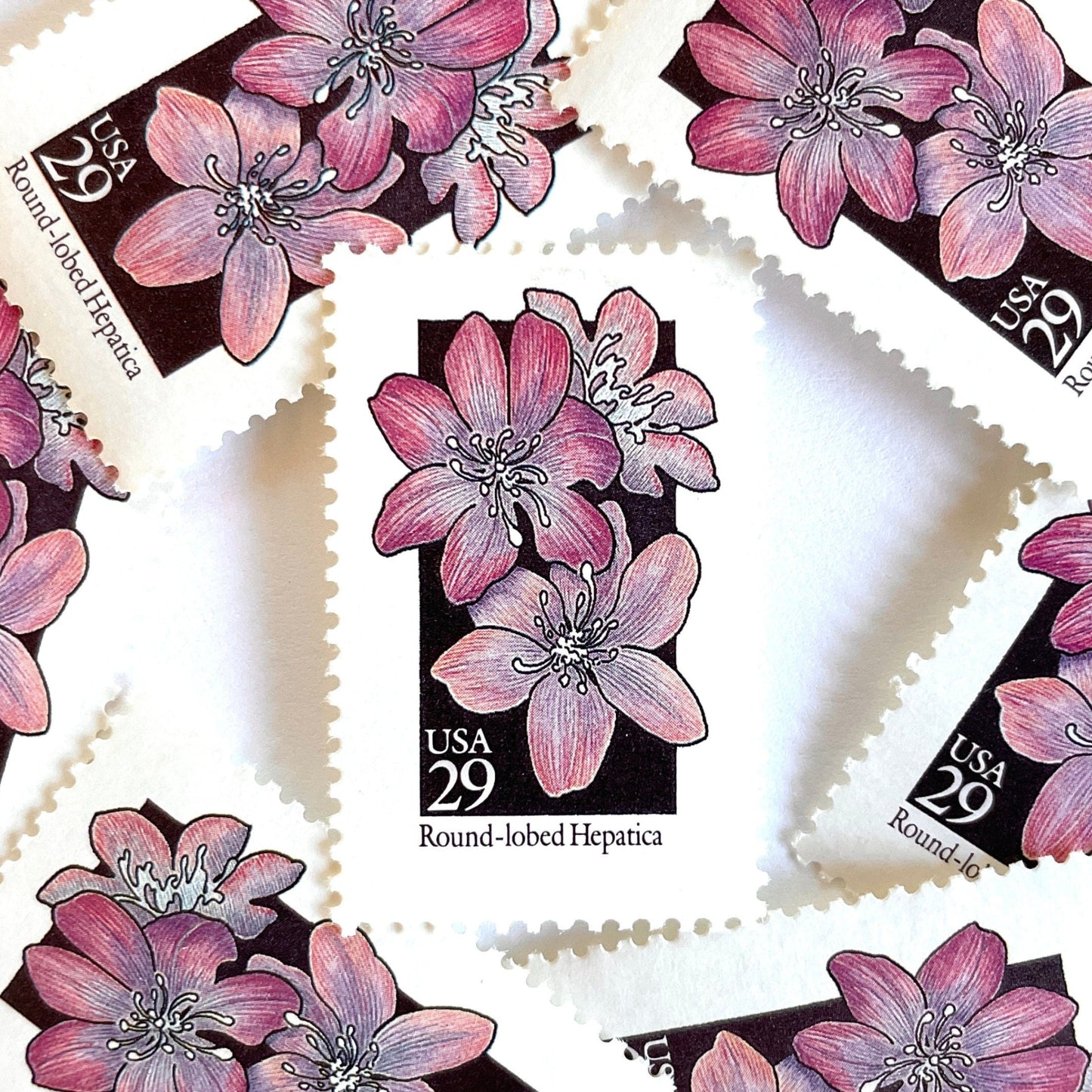 Image of 1992 American Wildflower Series “Round-Lobed Hepatica” vintage USPS mail stamps. Scott #2677. Stamp Themes: Plants, Flowers, Wildflowers, Flora. Purple, White, Black, Multicolored gummed postage stamp. Perfect postage stamp to use for save the date announcements, wedding invitation postage, bridal shower invitations, birth announcements, valentine’s day, thank you cards, and snail mail.