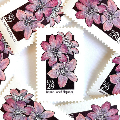 Image of 1992 American Wildflower Series “Round-Lobed Hepatica” vintage USPS mail stamps. Scott #2677. Stamp Themes: Plants, Flowers, Wildflowers, Flora. Purple, White, Black, Multicolored gummed postage stamp. Perfect postage stamp to use for save the date announcements, wedding invitation postage, bridal shower invitations, birth announcements, valentine’s day, thank you cards, and snail mail.