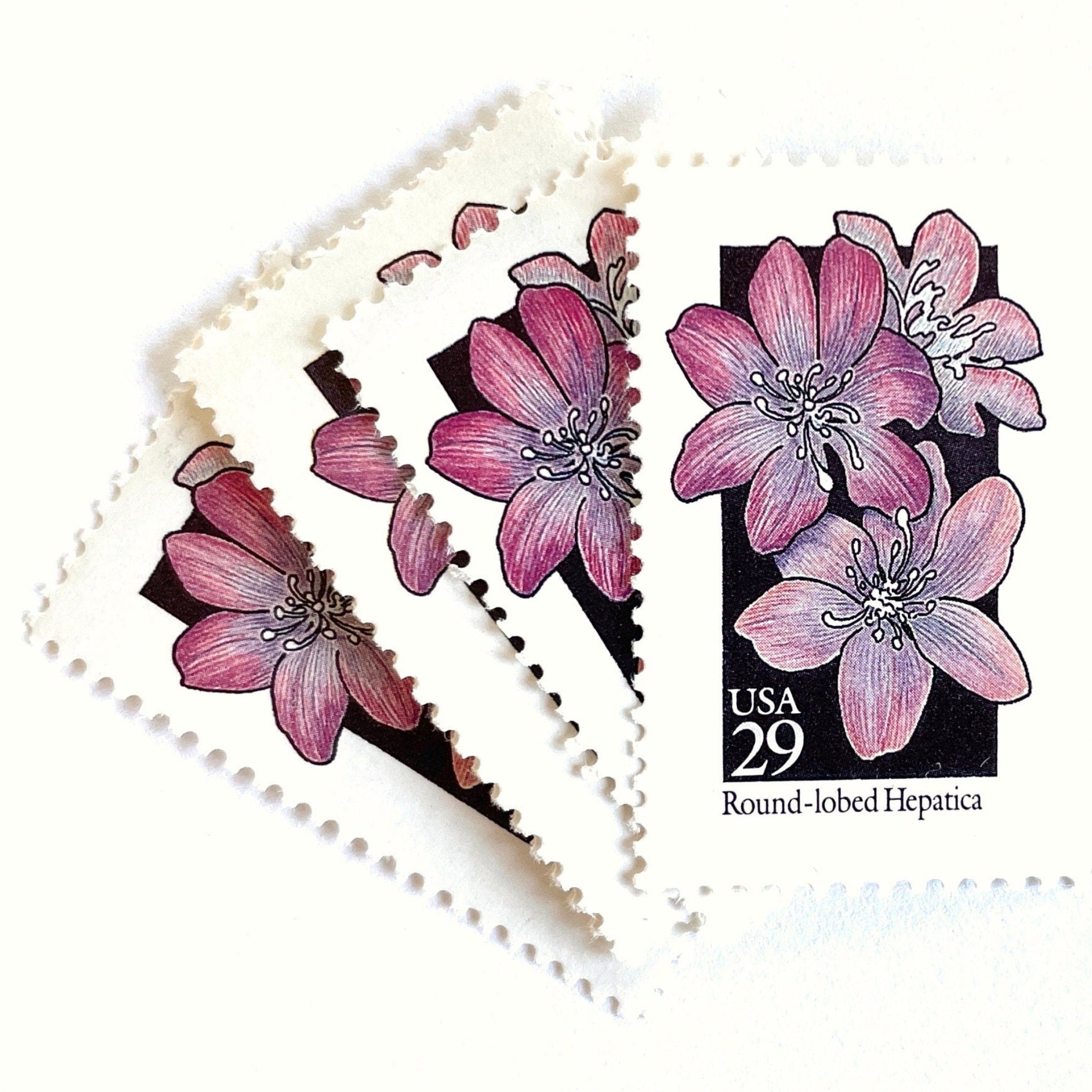 Image of 1992 American Wildflower Series “Round-Lobed Hepatica” vintage USPS mail stamps. Scott #2677. Stamp Themes: Plants, Flowers, Wildflowers, Flora. Purple, White, Black, Multicolored gummed postage stamp. Perfect postage stamp to use for save the date announcements, wedding invitation postage, bridal shower invitations, birth announcements, valentine’s day, thank you cards, and snail mail.