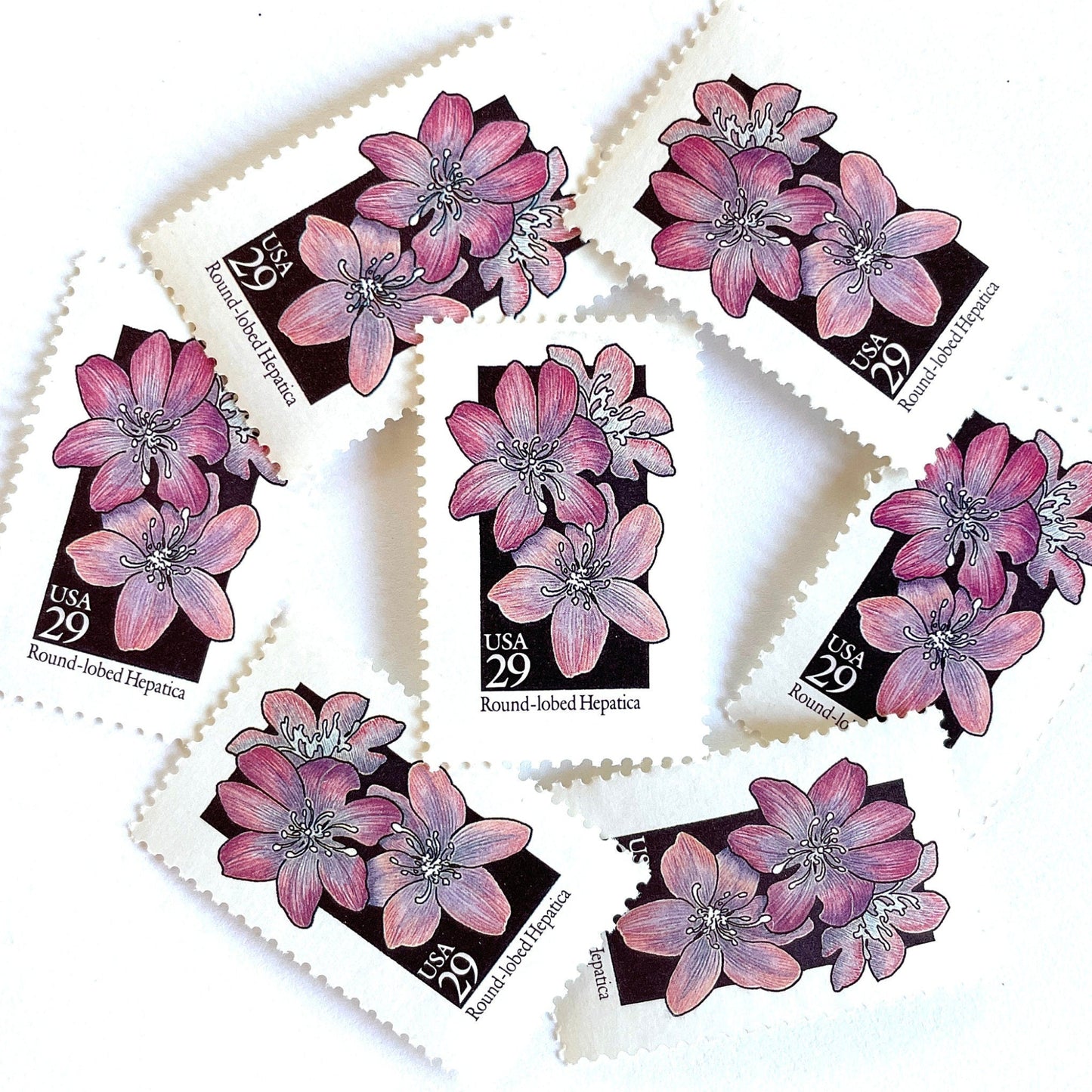 Image of 1992 American Wildflower Series “Round-Lobed Hepatica” vintage USPS mail stamps. Scott #2677. Stamp Themes: Plants, Flowers, Wildflowers, Flora. Purple, White, Black, Multicolored gummed postage stamp. Perfect postage stamp to use for save the date announcements, wedding invitation postage, bridal shower invitations, birth announcements, valentine’s day, thank you cards, and snail mail.