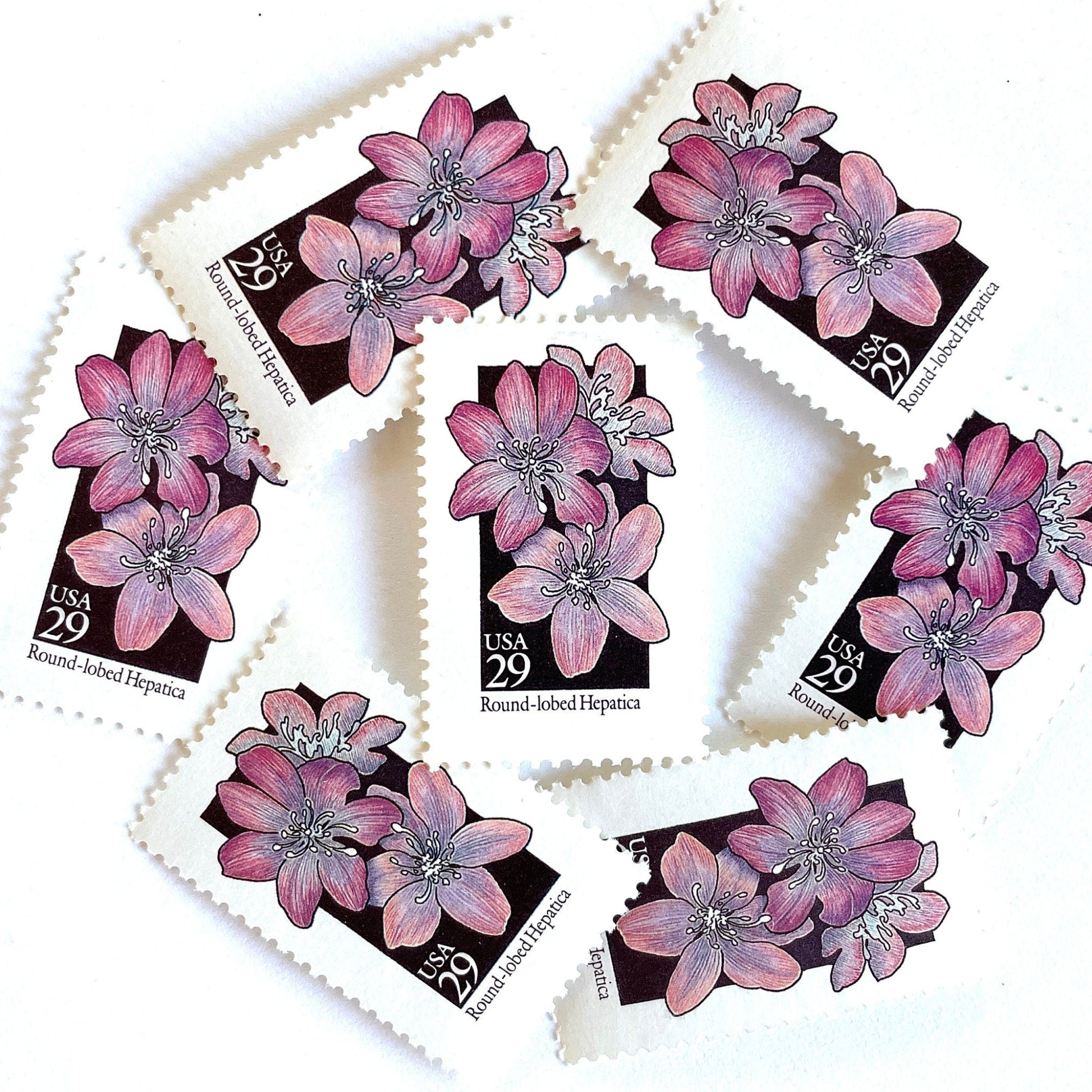 Image of 1992 American Wildflower Series “Round-Lobed Hepatica” vintage USPS mail stamps. Scott #2677. Stamp Themes: Plants, Flowers, Wildflowers, Flora. Purple, White, Black, Multicolored gummed postage stamp. Perfect postage stamp to use for save the date announcements, wedding invitation postage, bridal shower invitations, birth announcements, valentine’s day, thank you cards, and snail mail.