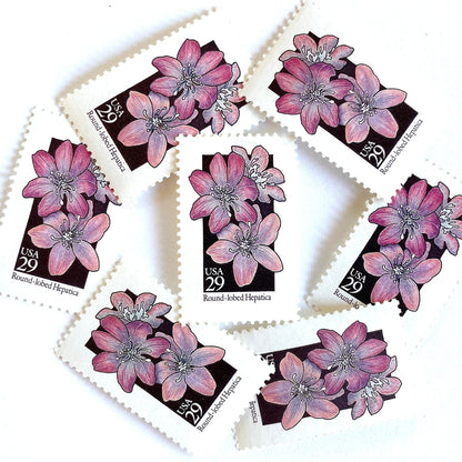 Image of 1992 American Wildflower Series “Round-Lobed Hepatica” vintage USPS mail stamps. Scott #2677. Stamp Themes: Plants, Flowers, Wildflowers, Flora. Purple, White, Black, Multicolored gummed postage stamp. Perfect postage stamp to use for save the date announcements, wedding invitation postage, bridal shower invitations, birth announcements, valentine’s day, thank you cards, and snail mail.