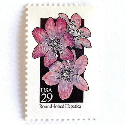Image of 1992 American Wildflower Series “Round-Lobed Hepatica” vintage USPS mail stamps. Scott #2677. Stamp Themes: Plants, Flowers, Wildflowers, Flora. Purple, White, Black, Multicolored gummed postage stamp. Perfect postage stamp to use for save the date announcements, wedding invitation postage, bridal shower invitations, birth announcements, valentine’s day, thank you cards, and snail mail.