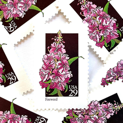 Image of 1992 American Wildflower Series “Fireweed” vintage USPS mail stamps. Scott #2679. Stamp Themes: Plants, Flowers, Wildflowers, Flora. Pink, Purple, Green, Multicolored gummed postage stamp. Perfect postage stamp to use for save the date announcements, wedding invitation postage, bridal shower invitations, birth announcements, valentine’s day, thank you cards, and snail mail.