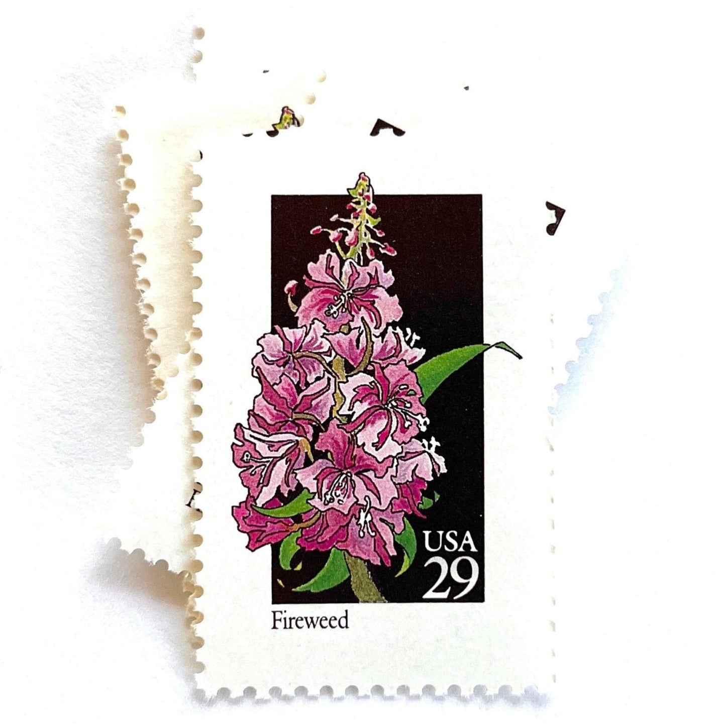 Image of 1992 American Wildflower Series “Fireweed” vintage USPS mail stamps. Scott #2679. Stamp Themes: Plants, Flowers, Wildflowers, Flora. Pink, Purple, Green, Multicolored gummed postage stamp. Perfect postage stamp to use for save the date announcements, wedding invitation postage, bridal shower invitations, birth announcements, valentine’s day, thank you cards, and snail mail.