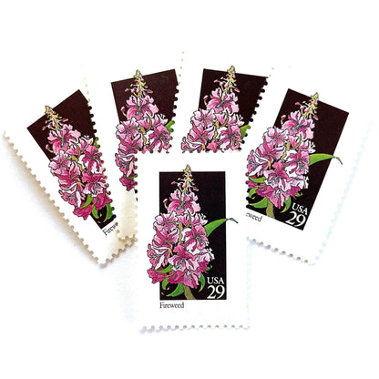 Image of 1992 American Wildflower Series “Fireweed” vintage USPS mail stamps. Scott #2679. Stamp Themes: Plants, Flowers, Wildflowers, Flora. Pink, Purple, Green, Multicolored gummed postage stamp. Perfect postage stamp to use for save the date announcements, wedding invitation postage, bridal shower invitations, birth announcements, valentine’s day, thank you cards, and snail mail.