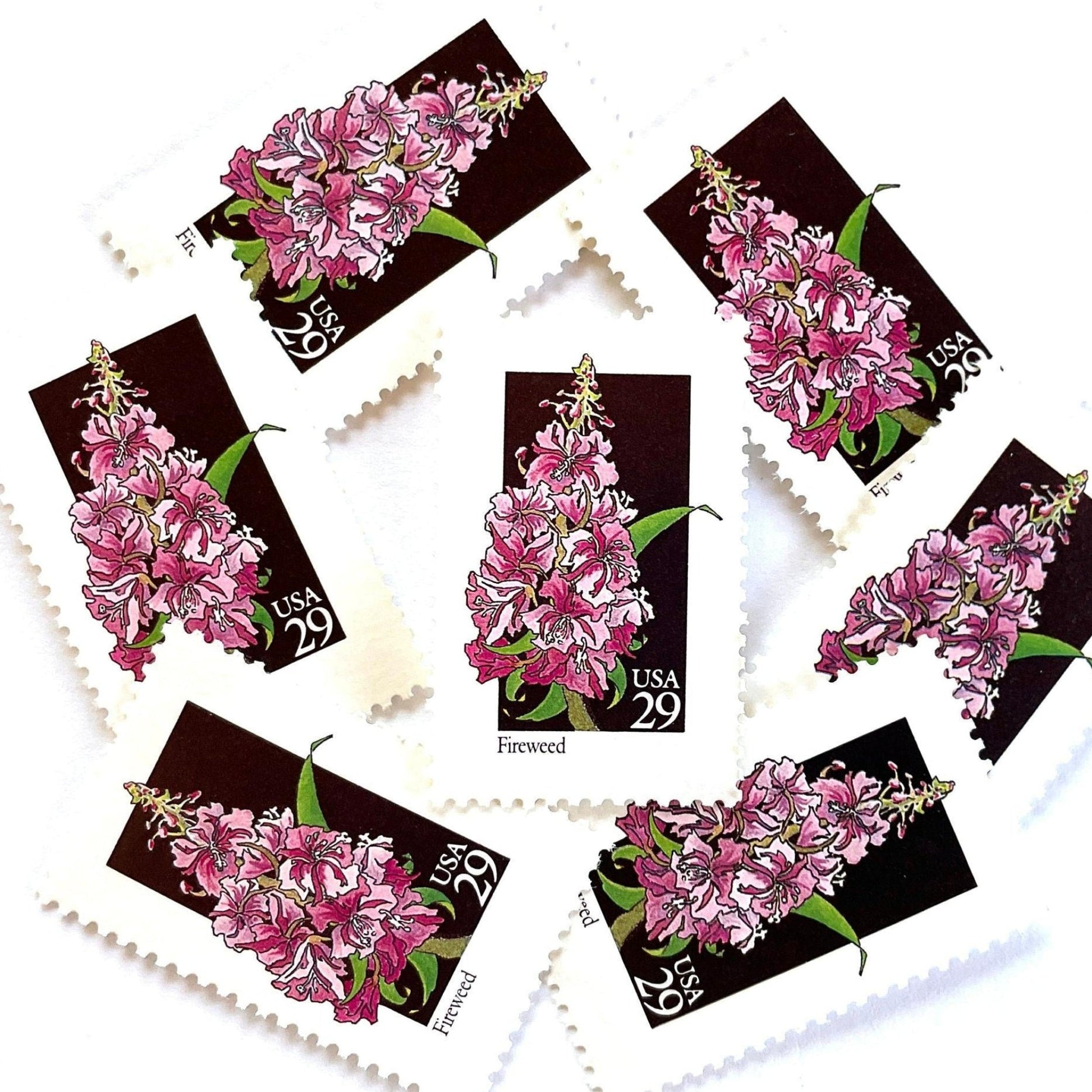 Image of 1992 American Wildflower Series “Fireweed” vintage USPS mail stamps. Scott #2679. Stamp Themes: Plants, Flowers, Wildflowers, Flora. Pink, Purple, Green, Multicolored gummed postage stamp. Perfect postage stamp to use for save the date announcements, wedding invitation postage, bridal shower invitations, birth announcements, valentine’s day, thank you cards, and snail mail.