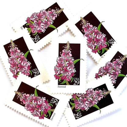 Image of 1992 American Wildflower Series “Fireweed” vintage USPS mail stamps. Scott #2679. Stamp Themes: Plants, Flowers, Wildflowers, Flora. Pink, Purple, Green, Multicolored gummed postage stamp. Perfect postage stamp to use for save the date announcements, wedding invitation postage, bridal shower invitations, birth announcements, valentine’s day, thank you cards, and snail mail.