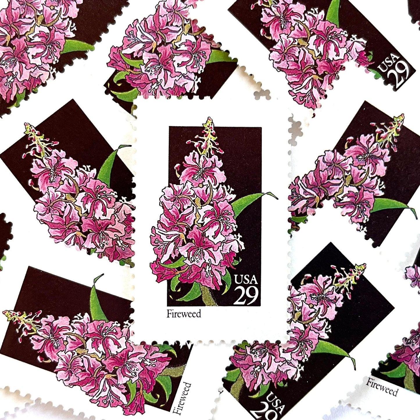 Image of 1992 American Wildflower Series “Fireweed” vintage USPS mail stamps. Scott #2679. Stamp Themes: Plants, Flowers, Wildflowers, Flora. Pink, Purple, Green, Multicolored gummed postage stamp. Perfect postage stamp to use for save the date announcements, wedding invitation postage, bridal shower invitations, birth announcements, valentine’s day, thank you cards, and snail mail.