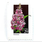 Image of 1992 American Wildflower Series “Fireweed” vintage USPS mail stamps. Scott #2679. Stamp Themes: Plants, Flowers, Wildflowers, Flora. Pink, Purple, Green, Multicolored gummed postage stamp. Perfect postage stamp to use for save the date announcements, wedding invitation postage, bridal shower invitations, birth announcements, valentine’s day, thank you cards, and snail mail.