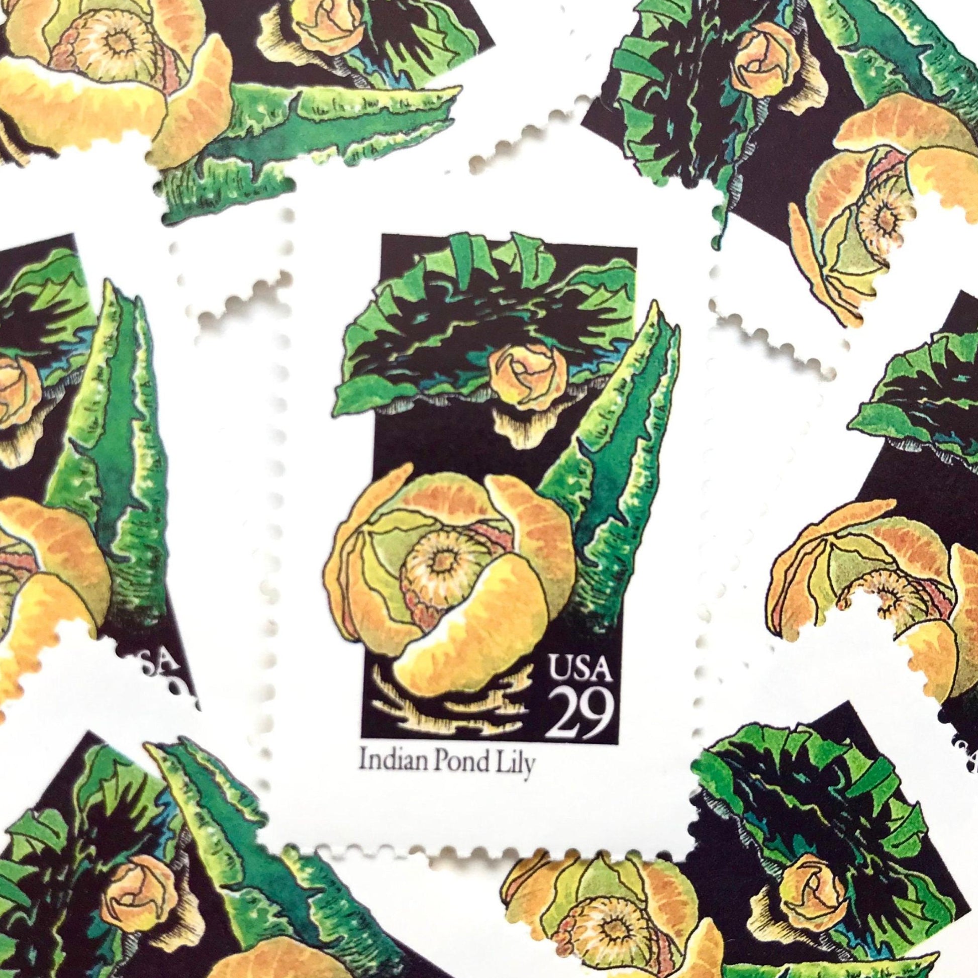 Image of 1992 American Wildflower Series “Indian Pond Lily” vintage USPS mail stamps. Scott #2680. Stamp Themes: Plants, Flowers, Wildflowers, Flora. Yellow, Orange, Green, Multicolored gummed postage stamp. Perfect postage stamp to use for save the date announcements, wedding invitation postage, bridal shower invitations, birth announcements, valentine’s day, thank you cards, and snail mail.