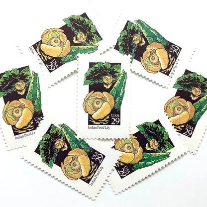 Image of 1992 American Wildflower Series “Indian Pond Lily” vintage USPS mail stamps. Scott #2680. Stamp Themes: Plants, Flowers, Wildflowers, Flora. Yellow, Orange, Green, Multicolored gummed postage stamp. Perfect postage stamp to use for save the date announcements, wedding invitation postage, bridal shower invitations, birth announcements, valentine’s day, thank you cards, and snail mail.