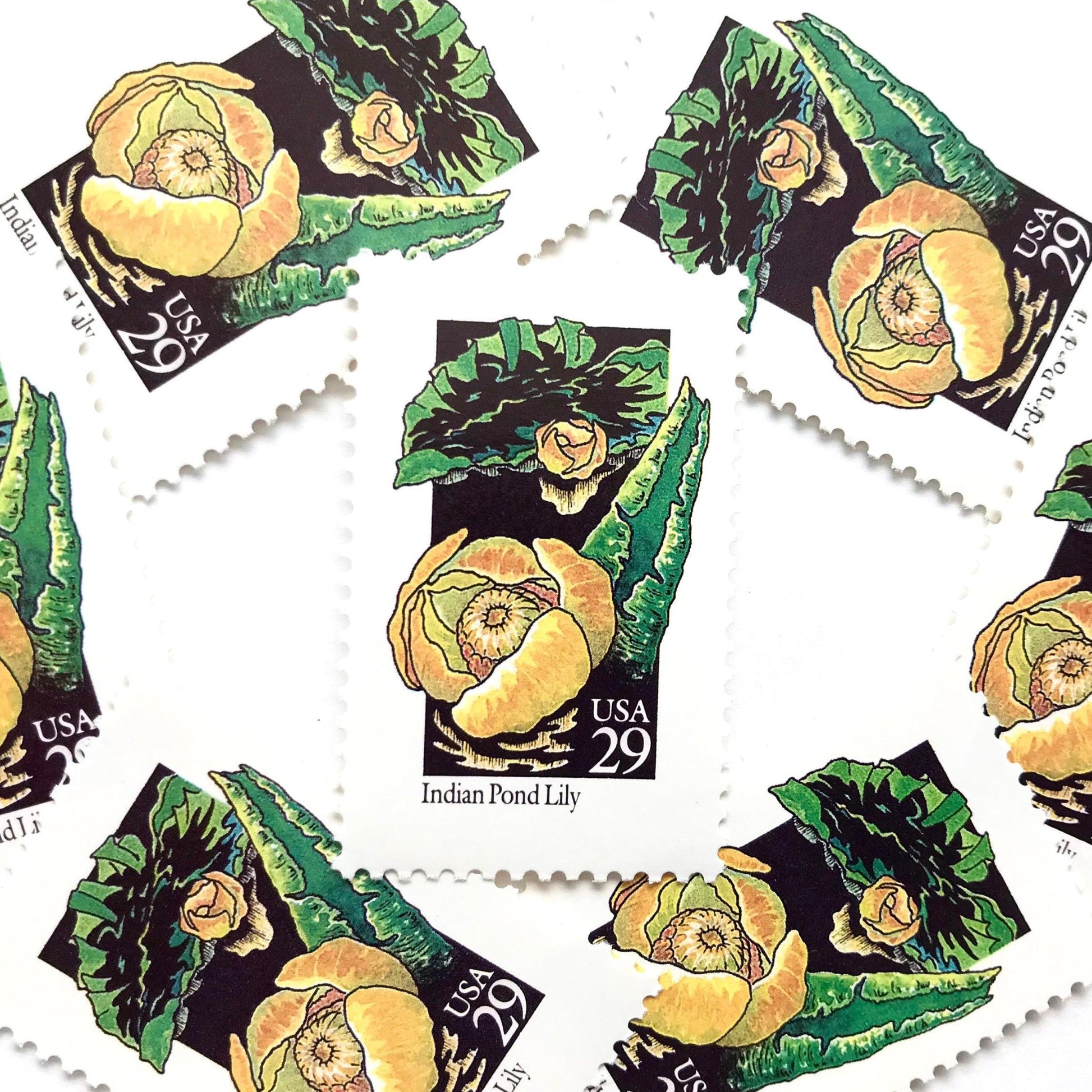 Image of 1992 American Wildflower Series “Indian Pond Lily” vintage USPS mail stamps. Scott #2680. Stamp Themes: Plants, Flowers, Wildflowers, Flora. Yellow, Orange, Green, Multicolored gummed postage stamp. Perfect postage stamp to use for save the date announcements, wedding invitation postage, bridal shower invitations, birth announcements, valentine’s day, thank you cards, and snail mail.