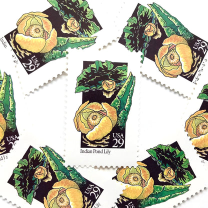 Image of 1992 American Wildflower Series “Indian Pond Lily” vintage USPS mail stamps. Scott #2680. Stamp Themes: Plants, Flowers, Wildflowers, Flora. Yellow, Orange, Green, Multicolored gummed postage stamp. Perfect postage stamp to use for save the date announcements, wedding invitation postage, bridal shower invitations, birth announcements, valentine’s day, thank you cards, and snail mail.