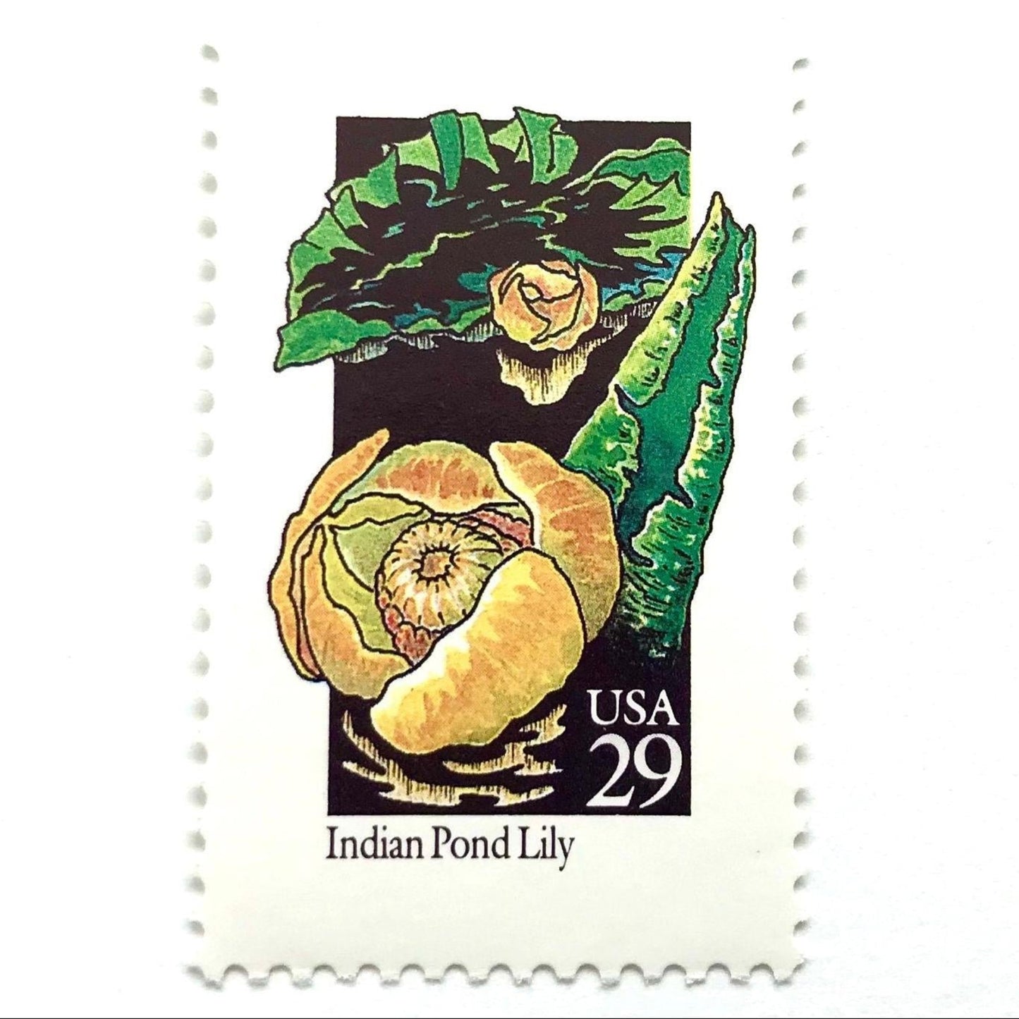 Image of 1992 American Wildflower Series “Indian Pond Lily” vintage USPS mail stamps. Scott #2680. Stamp Themes: Plants, Flowers, Wildflowers, Flora. Yellow, Orange, Green, Multicolored gummed postage stamp. Perfect postage stamp to use for save the date announcements, wedding invitation postage, bridal shower invitations, birth announcements, valentine’s day, thank you cards, and snail mail.