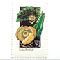 Image of 1992 American Wildflower Series “Indian Pond Lily” vintage USPS mail stamps. Scott #2680. Stamp Themes: Plants, Flowers, Wildflowers, Flora. Yellow, Orange, Green, Multicolored gummed postage stamp. Perfect postage stamp to use for save the date announcements, wedding invitation postage, bridal shower invitations, birth announcements, valentine’s day, thank you cards, and snail mail.