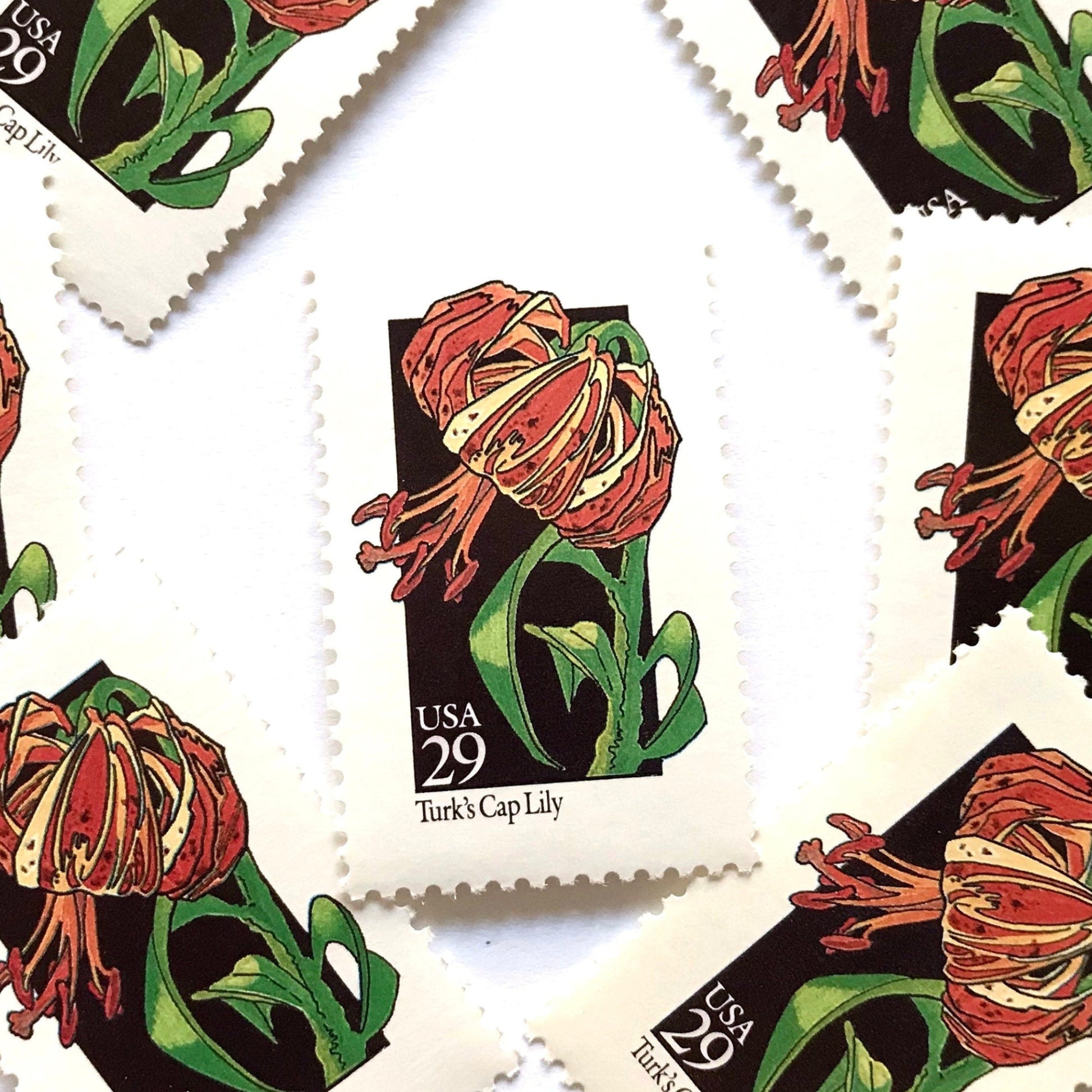 Image of 1992 American Wildflower Series “Turk's Cap Lily” vintage USPS mail stamps. Scott #2681. Stamp Themes: Plants, Flowers, Wildflowers, Flora. Red, Orange, Green, Multicolored gummed postage stamp. Perfect postage stamp to use for save the date announcements, wedding invitation postage, bridal shower invitations, birth announcements, valentine’s day, thank you cards, and snail mail.