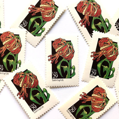 Image of 1992 American Wildflower Series “Turk's Cap Lily” vintage USPS mail stamps. Scott #2681. Stamp Themes: Plants, Flowers, Wildflowers, Flora. Red, Orange, Green, Multicolored gummed postage stamp. Perfect postage stamp to use for save the date announcements, wedding invitation postage, bridal shower invitations, birth announcements, valentine’s day, thank you cards, and snail mail.