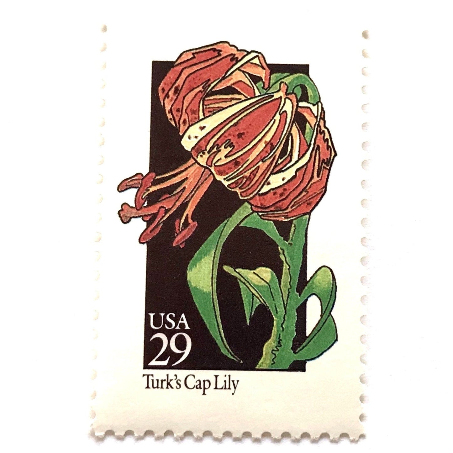 Image of 1992 American Wildflower Series “Turk's Cap Lily” vintage USPS mail stamps. Scott #2681. Stamp Themes: Plants, Flowers, Wildflowers, Flora. Red, Orange, Green, Multicolored gummed postage stamp. Perfect postage stamp to use for save the date announcements, wedding invitation postage, bridal shower invitations, birth announcements, valentine’s day, thank you cards, and snail mail.