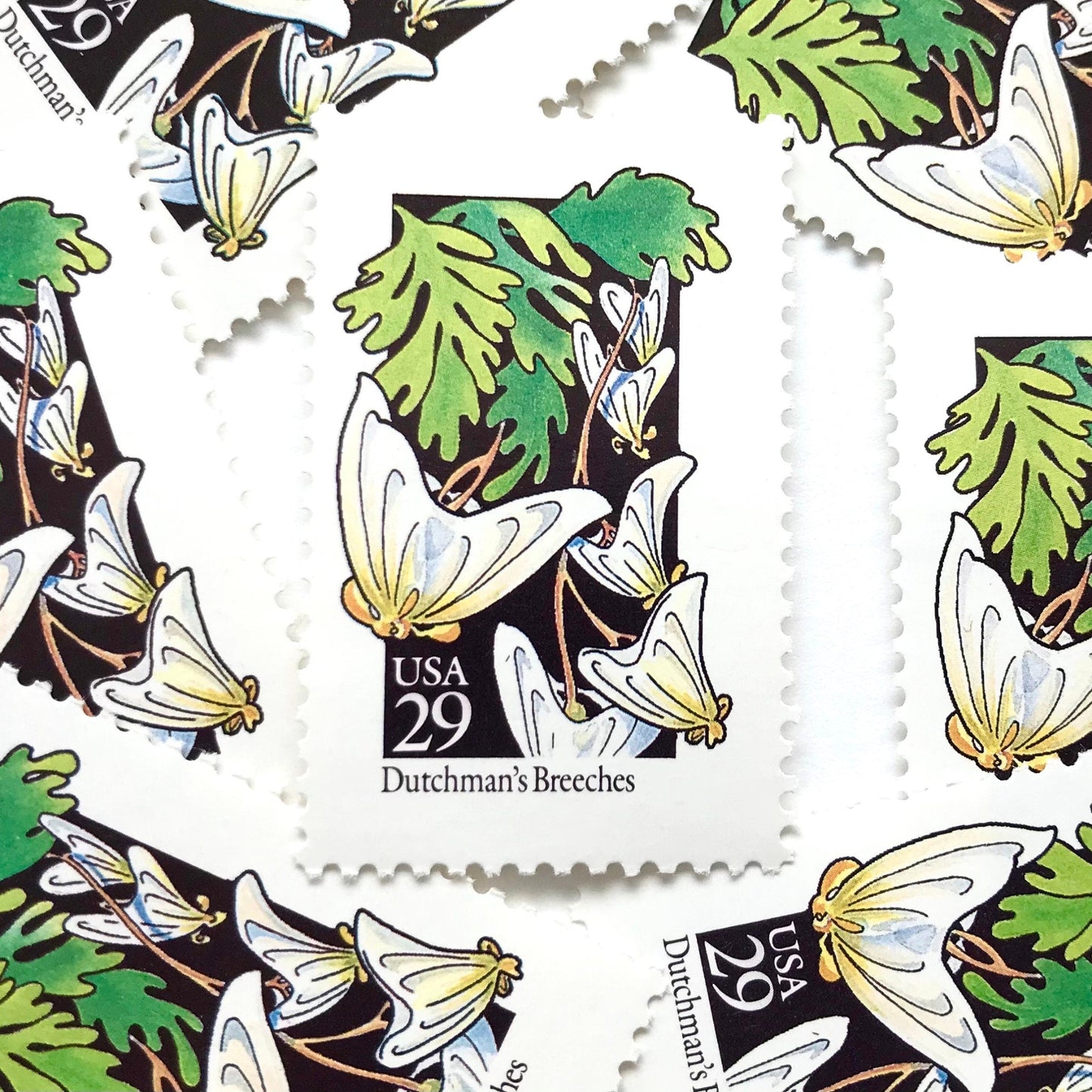 Image of 1992 American Wildflower Series “Dutchman's Breeches” vintage USPS mail stamps. Scott #2682. Stamp Themes: Plants, Flowers, Wildflowers, Flora. White, Green, Yellow, Multicolored gummed postage stamp. Perfect postage stamp to use for save the date announcements, wedding invitation postage, bridal shower invitations, birth announcements, valentine’s day, thank you cards, and snail mail.