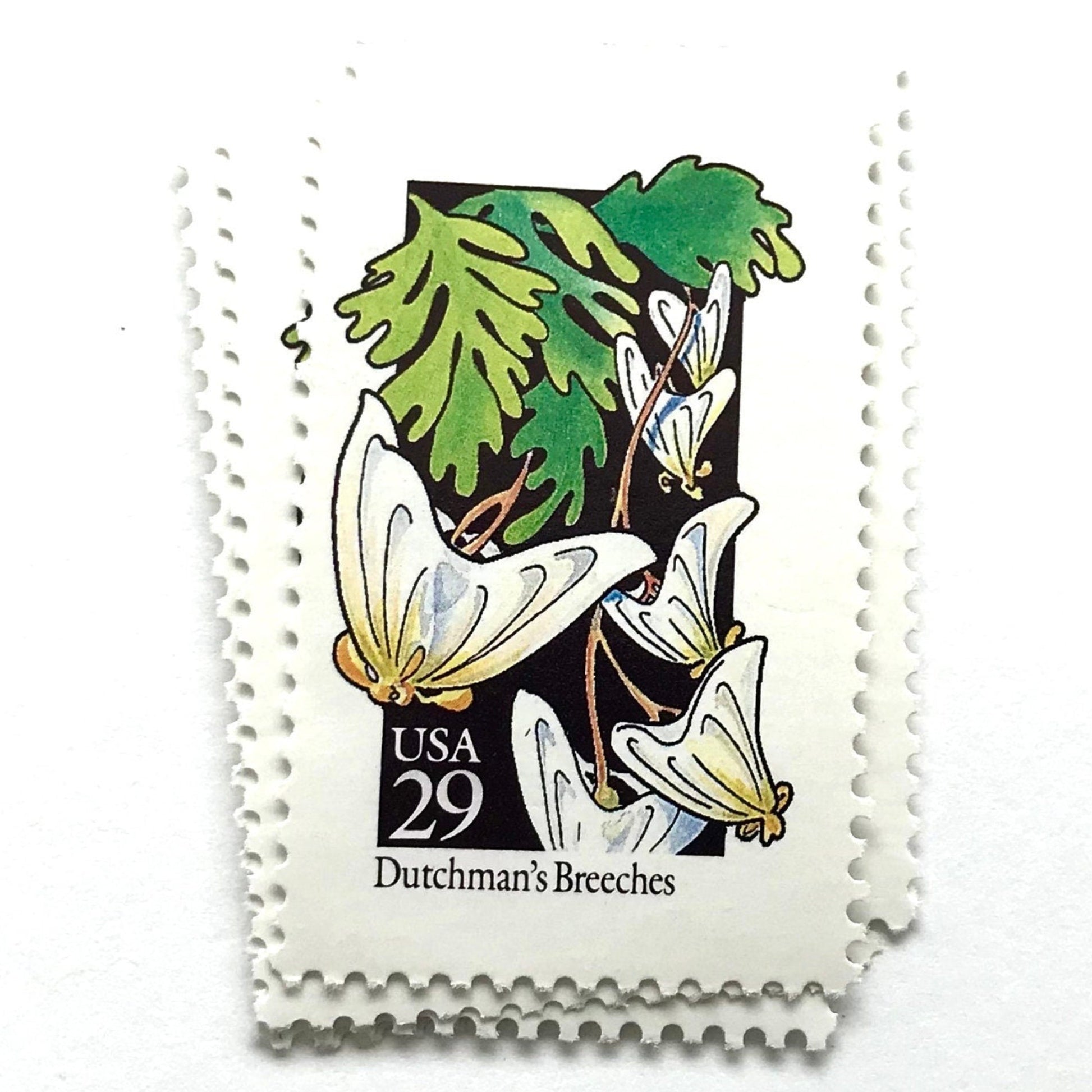 Image of 1992 American Wildflower Series “Dutchman's Breeches” vintage USPS mail stamps. Scott #2682. Stamp Themes: Plants, Flowers, Wildflowers, Flora. White, Green, Yellow, Multicolored gummed postage stamp. Perfect postage stamp to use for save the date announcements, wedding invitation postage, bridal shower invitations, birth announcements, valentine’s day, thank you cards, and snail mail.