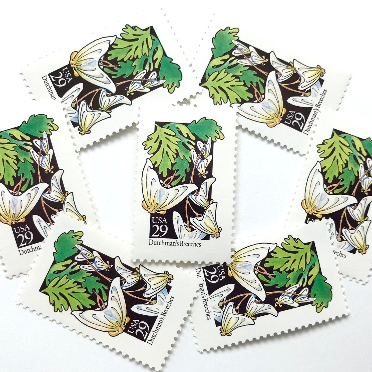 Image of 1992 American Wildflower Series “Dutchman's Breeches” vintage USPS mail stamps. Scott #2682. Stamp Themes: Plants, Flowers, Wildflowers, Flora. White, Green, Yellow, Multicolored gummed postage stamp. Perfect postage stamp to use for save the date announcements, wedding invitation postage, bridal shower invitations, birth announcements, valentine’s day, thank you cards, and snail mail.