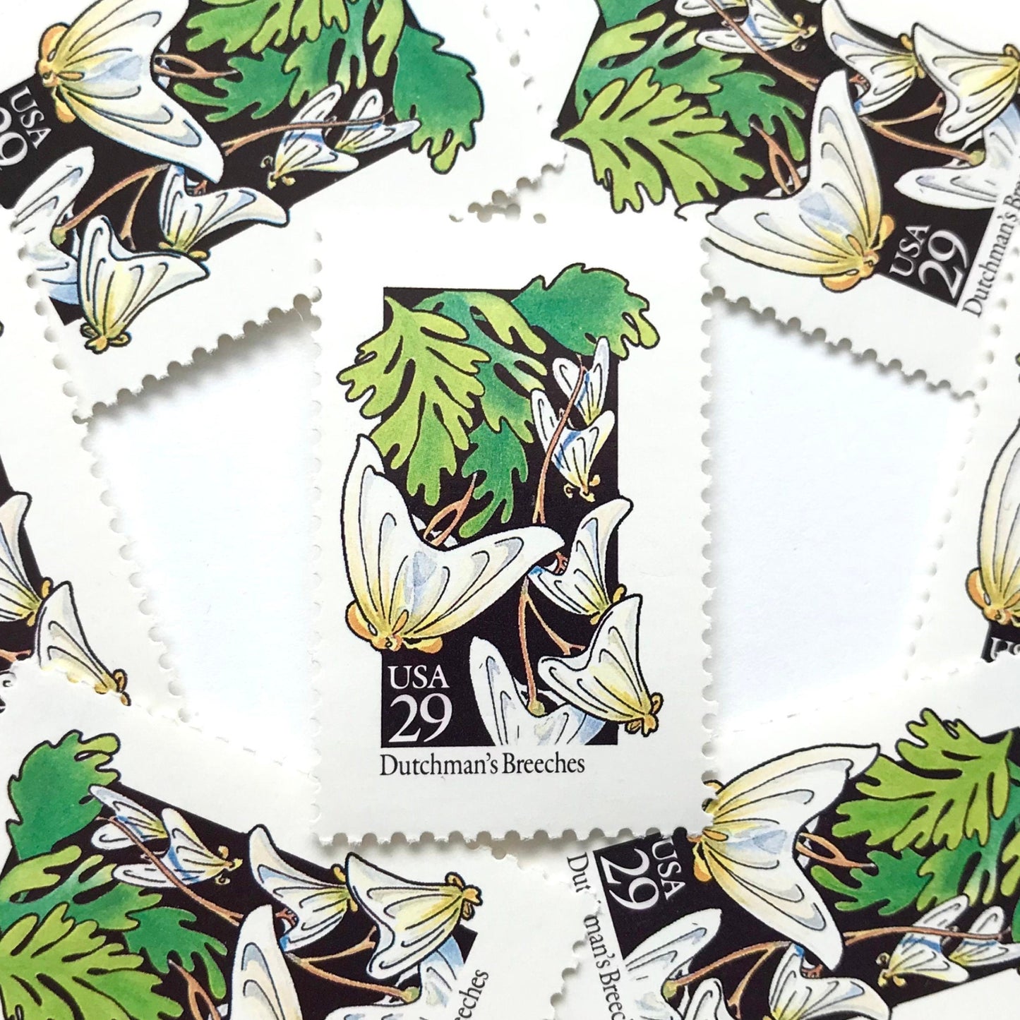 Image of 1992 American Wildflower Series “Dutchman's Breeches” vintage USPS mail stamps. Scott #2682. Stamp Themes: Plants, Flowers, Wildflowers, Flora. White, Green, Yellow, Multicolored gummed postage stamp. Perfect postage stamp to use for save the date announcements, wedding invitation postage, bridal shower invitations, birth announcements, valentine’s day, thank you cards, and snail mail.