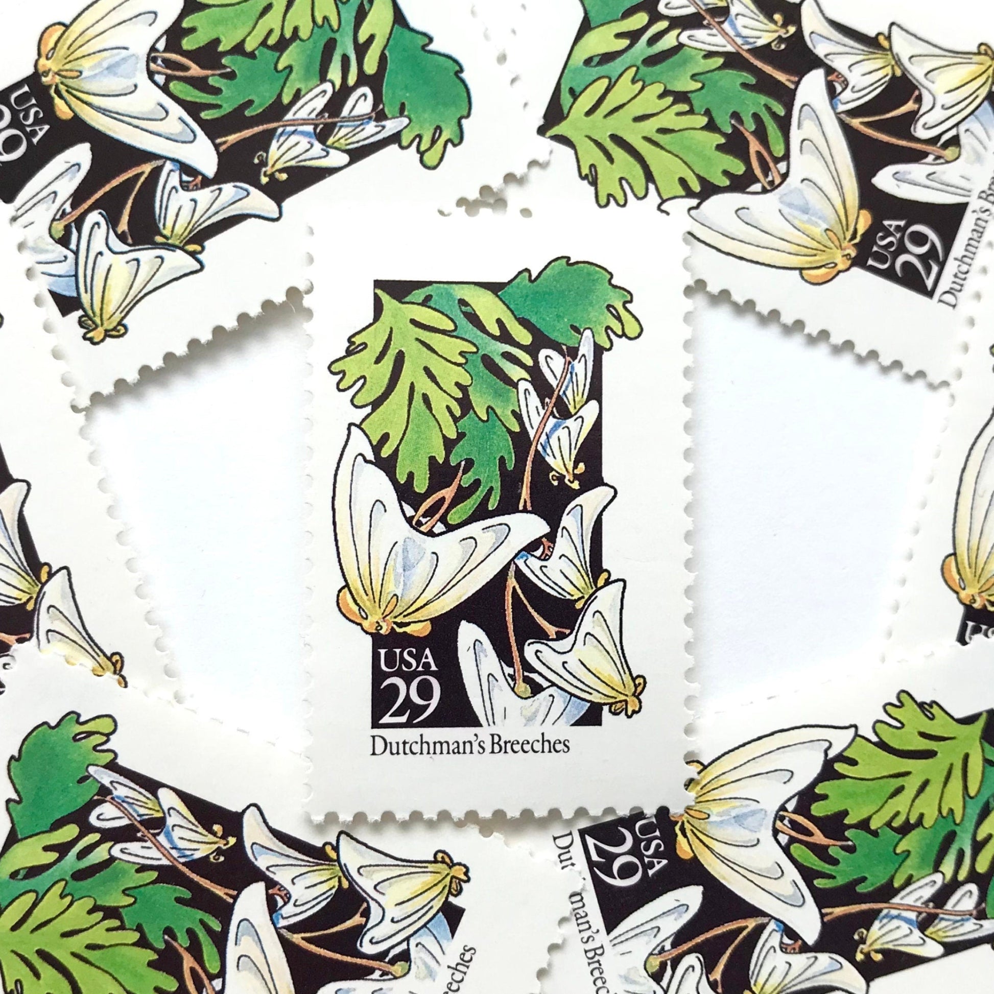 Image of 1992 American Wildflower Series “Dutchman's Breeches” vintage USPS mail stamps. Scott #2682. Stamp Themes: Plants, Flowers, Wildflowers, Flora. White, Green, Yellow, Multicolored gummed postage stamp. Perfect postage stamp to use for save the date announcements, wedding invitation postage, bridal shower invitations, birth announcements, valentine’s day, thank you cards, and snail mail.