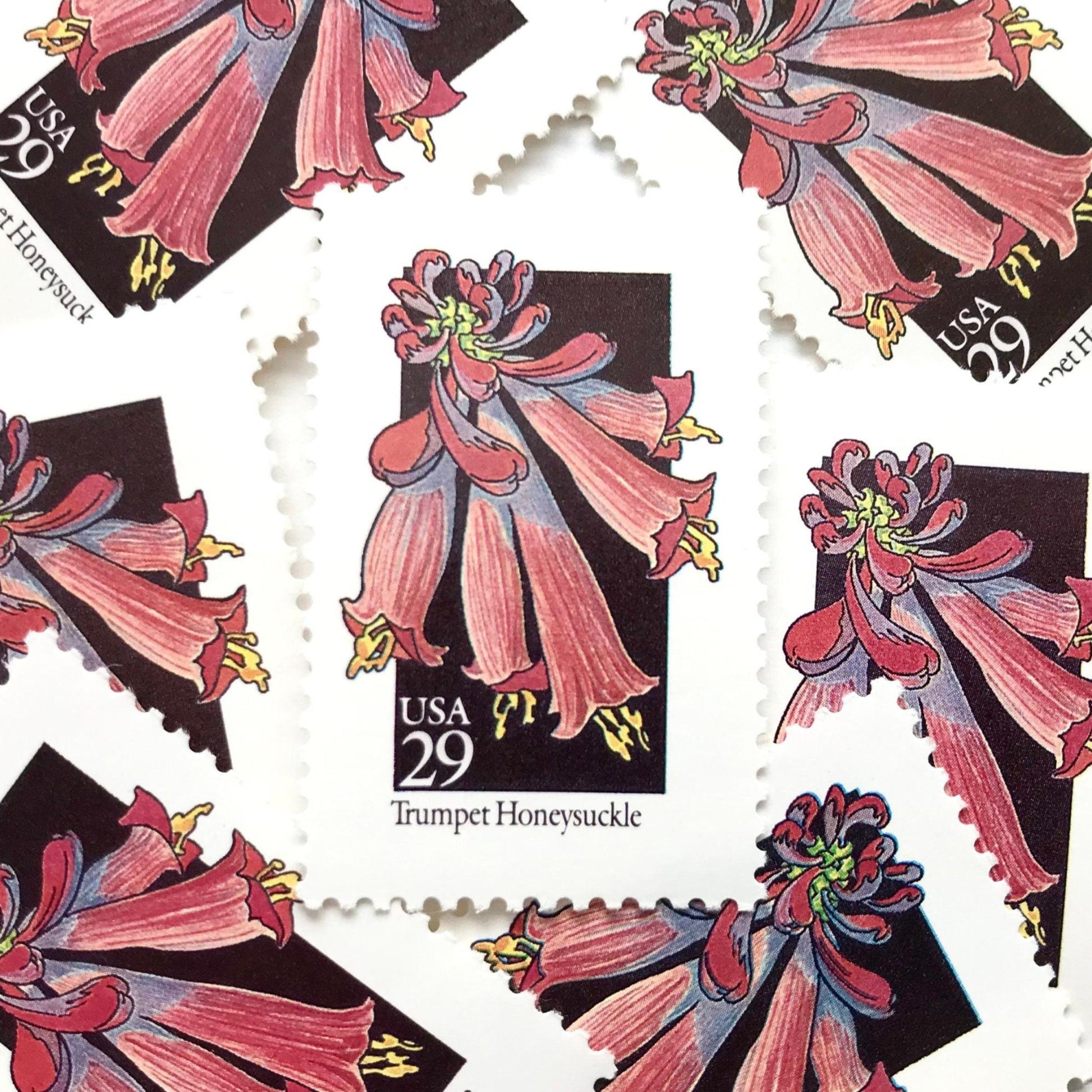 Image of 1992 American Wildflower Series “Trumpet Honeysuckle” vintage USPS mail stamps. Scott #2683. Stamp Themes: Plants, Flowers, Wildflowers, Flora. Red, Pink, Purple, Multicolored gummed postage stamp. Perfect postage stamp to use for save the date announcements, wedding invitation postage, bridal shower invitations, birth announcements, valentine’s day, thank you cards, and snail mail.