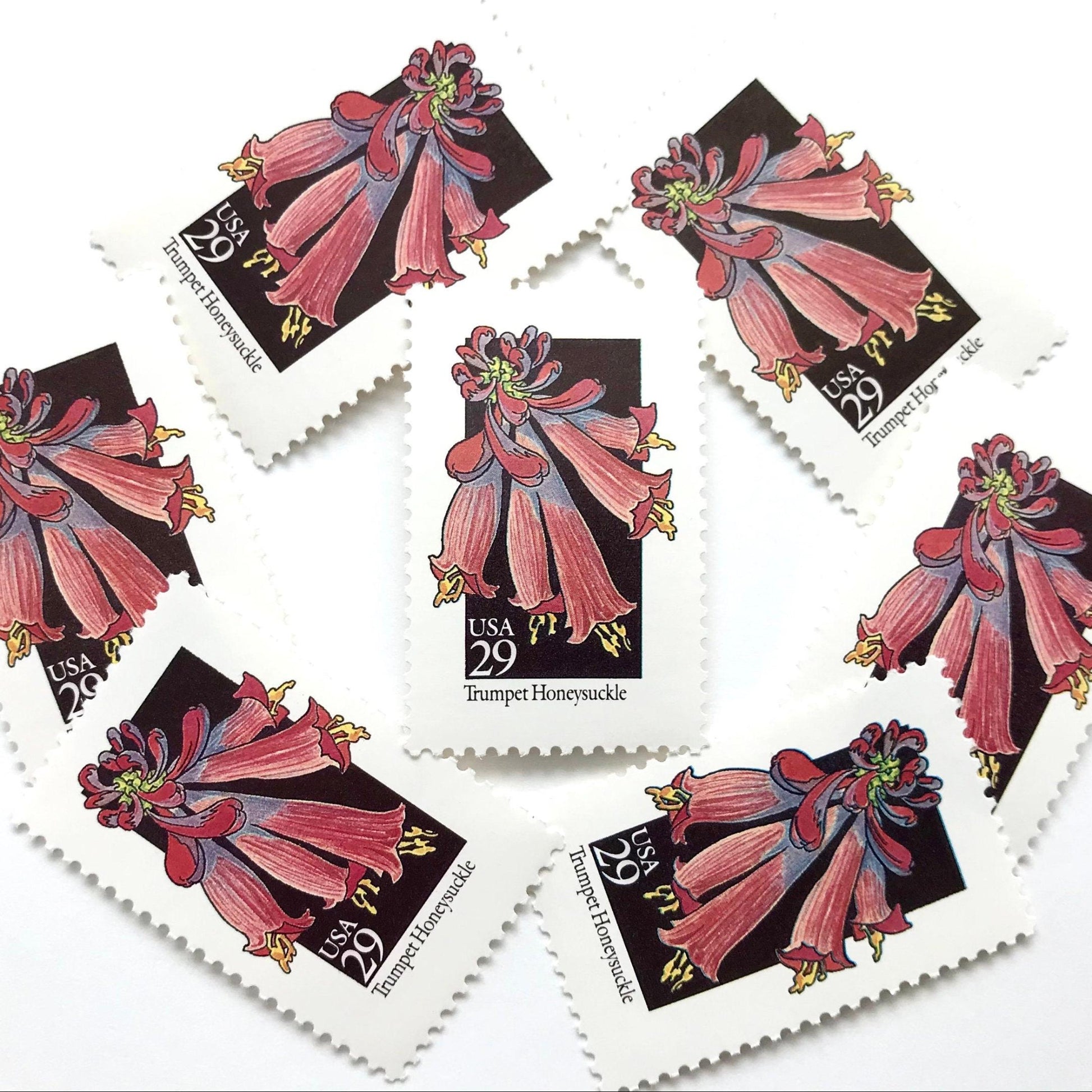 Image of 1992 American Wildflower Series “Trumpet Honeysuckle” vintage USPS mail stamps. Scott #2683. Stamp Themes: Plants, Flowers, Wildflowers, Flora. Red, Pink, Purple, Multicolored gummed postage stamp. Perfect postage stamp to use for save the date announcements, wedding invitation postage, bridal shower invitations, birth announcements, valentine’s day, thank you cards, and snail mail.