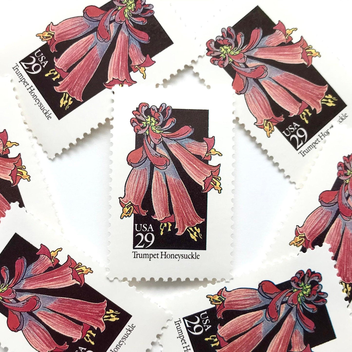Image of 1992 American Wildflower Series “Trumpet Honeysuckle” vintage USPS mail stamps. Scott #2683. Stamp Themes: Plants, Flowers, Wildflowers, Flora. Red, Pink, Purple, Multicolored gummed postage stamp. Perfect postage stamp to use for save the date announcements, wedding invitation postage, bridal shower invitations, birth announcements, valentine’s day, thank you cards, and snail mail.