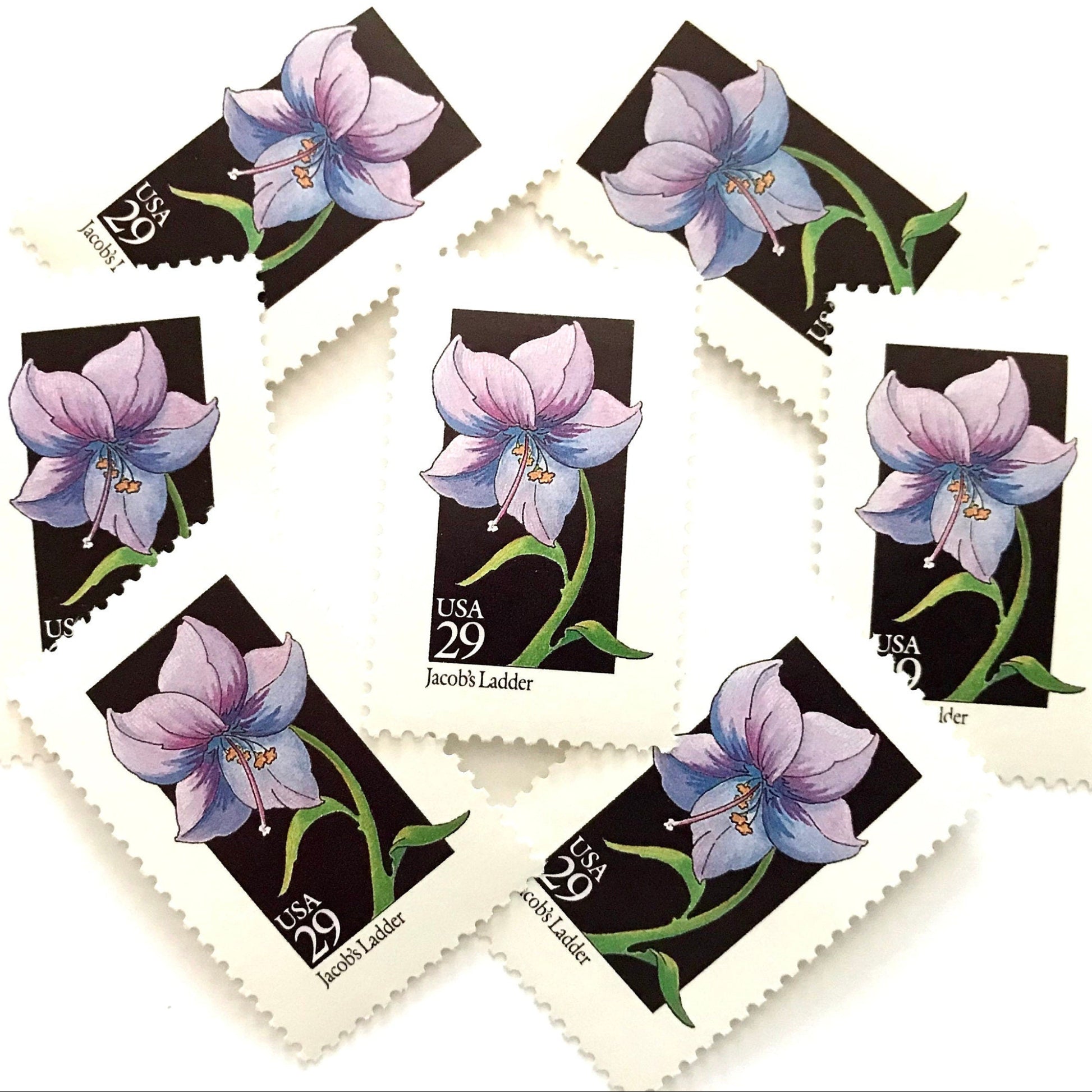 Image of 1992 American Wildflower Series “Jacob's Ladder” vintage USPS mail stamps. Scott #2684. Stamp Themes: Plants, Flowers, Wildflowers, Flora. Purple, Blue, Green, Multicolored gummed postage stamp. Perfect postage stamp to use for save the date announcements, wedding invitation postage, bridal shower invitations, birth announcements, valentine’s day, thank you cards, and snail mail.