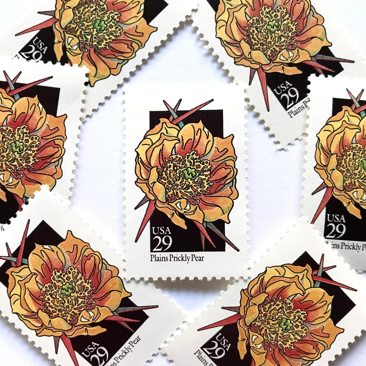 Image of 1992 American Wildflower Series “Plains Prickly Pear” vintage USPS mail stamps. Scott #2685. Stamp Themes: Plants, Flowers, Wildflowers, Flora. Yellow, Red, Black, Multicolored gummed postage stamp. Perfect postage stamp to use for save the date announcements, wedding invitation postage, bridal shower invitations, birth announcements, valentine’s day, thank you cards, and snail mail.