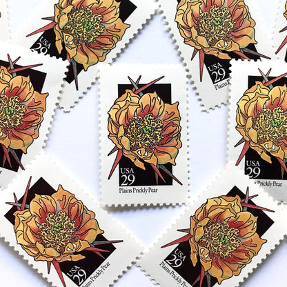 Image of 1992 American Wildflower Series “Plains Prickly Pear” vintage USPS mail stamps. Scott #2685. Stamp Themes: Plants, Flowers, Wildflowers, Flora. Yellow, Red, Black, Multicolored gummed postage stamp. Perfect postage stamp to use for save the date announcements, wedding invitation postage, bridal shower invitations, birth announcements, valentine’s day, thank you cards, and snail mail.