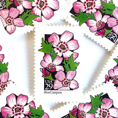 Image of 1992 American Wildflower Series “Moss Campion” vintage USPS mail stamps. Scott #2686. Stamp Themes: Plants, Flowers, Wildflowers, Flora. Pink, Purple, Green, Multicolored gummed postage stamp. Perfect postage stamp to use for save the date announcements, wedding invitation postage, bridal shower invitations, birth announcements, valentine’s day, thank you cards, and snail mail.