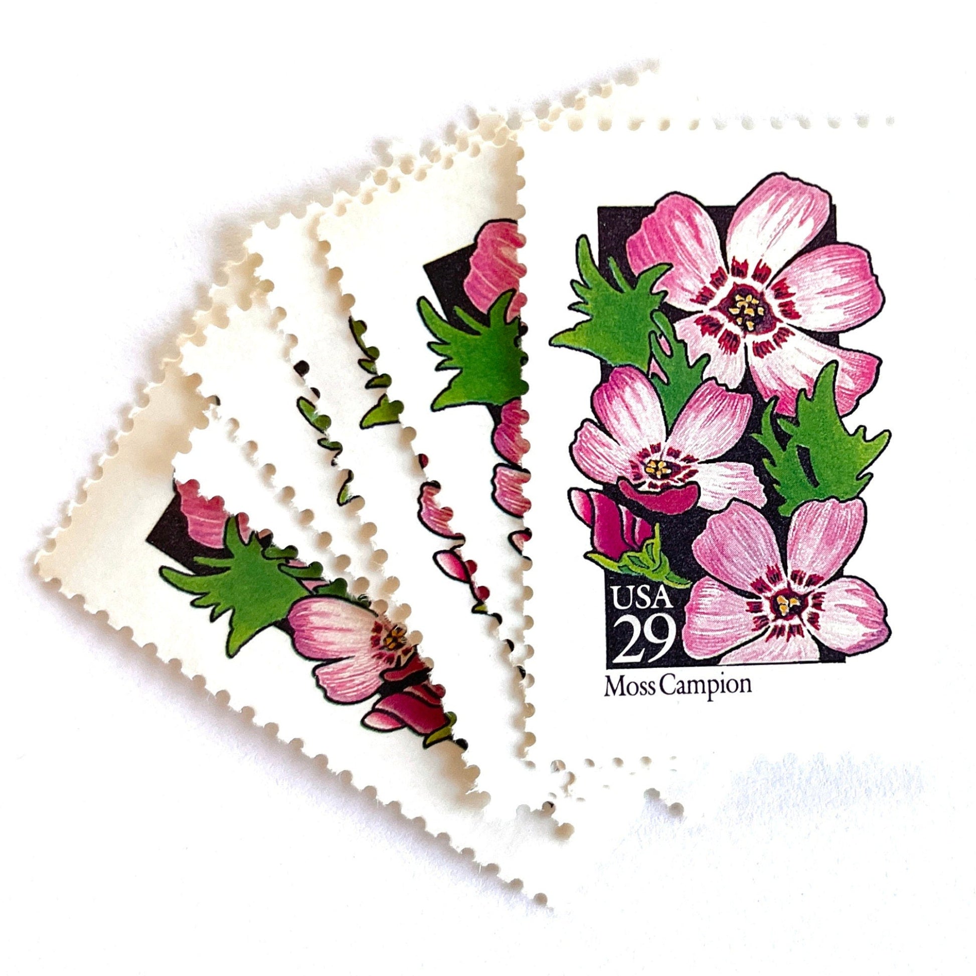Image of 1992 American Wildflower Series “Moss Campion” vintage USPS mail stamps. Scott #2686. Stamp Themes: Plants, Flowers, Wildflowers, Flora. Pink, Purple, Green, Multicolored gummed postage stamp. Perfect postage stamp to use for save the date announcements, wedding invitation postage, bridal shower invitations, birth announcements, valentine’s day, thank you cards, and snail mail.