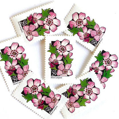 Image of 1992 American Wildflower Series “Moss Campion” vintage USPS mail stamps. Scott #2686. Stamp Themes: Plants, Flowers, Wildflowers, Flora. Pink, Purple, Green, Multicolored gummed postage stamp. Perfect postage stamp to use for save the date announcements, wedding invitation postage, bridal shower invitations, birth announcements, valentine’s day, thank you cards, and snail mail.